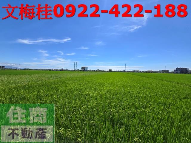 宜蘭農地-1