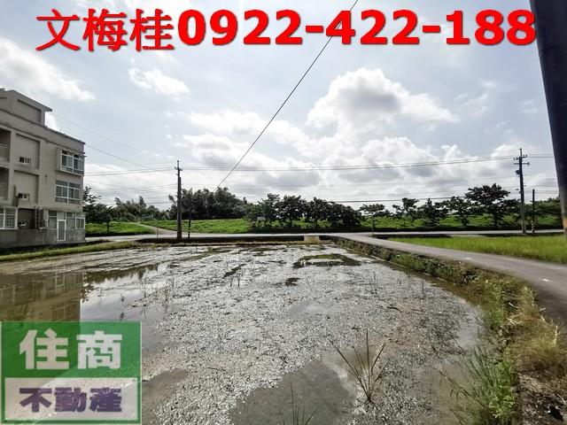 宜蘭宜蘭市農地-1