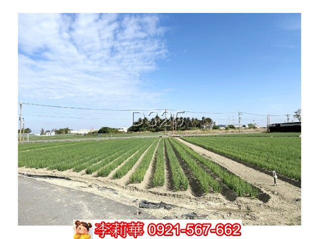 台南安南農地-10