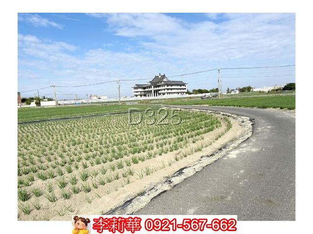 台南安南農地-8