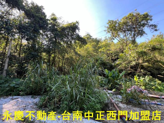 台南白河農地-2