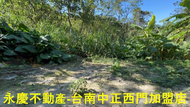 台南白河農地-3