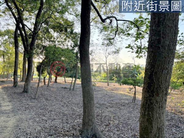 台南楠西農地-10