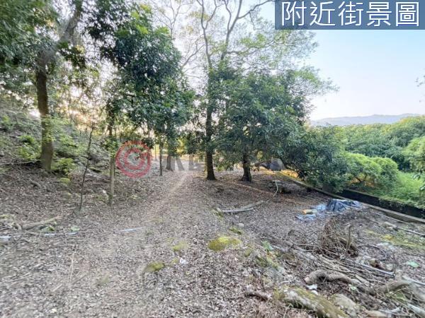 台南楠西農地-11