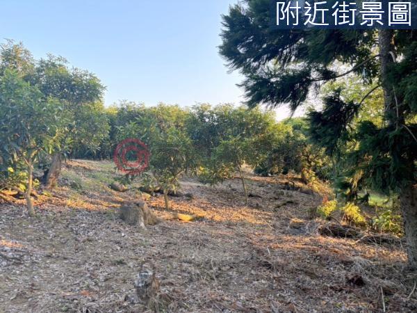 台南楠西農地-3