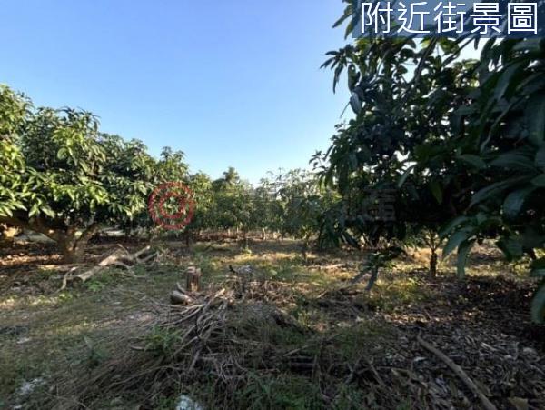 台南楠西農地-10