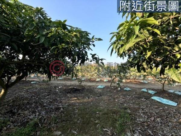 台南楠西農地-12