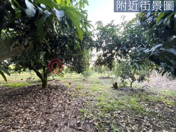 台南楠西農地-2