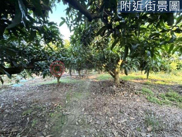 台南楠西農地-3