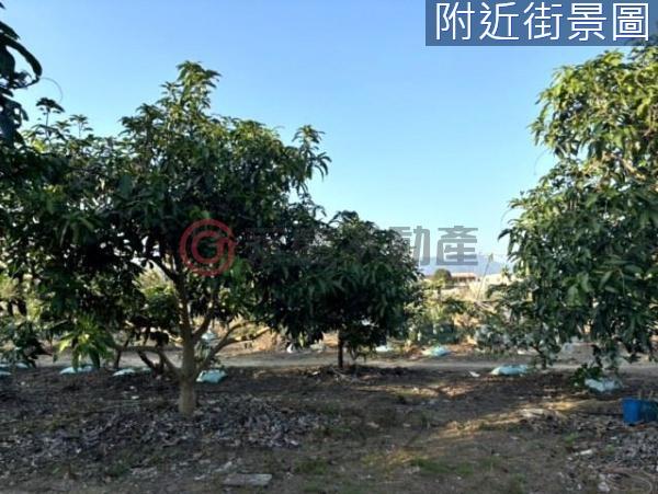 台南楠西農地-7