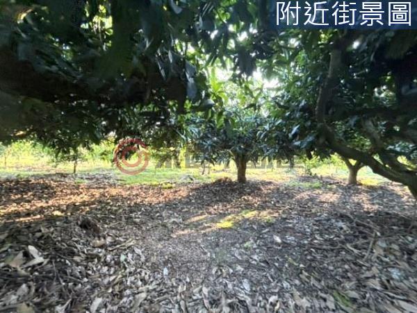 台南楠西農地-8