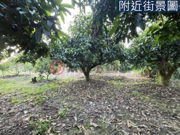 台南楠西農地-9