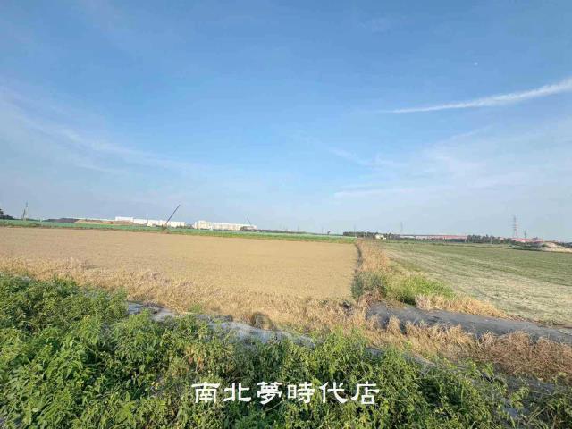 台南新市農地-11