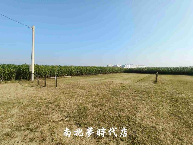 台南柳營農地-4