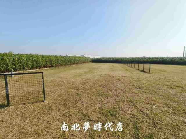 台南柳營農地-5