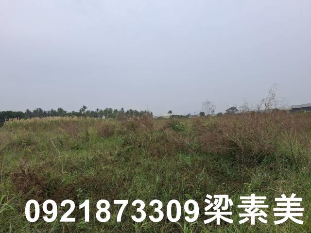 台南農地-3