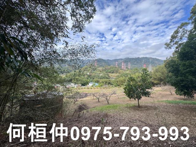 苗栗大湖山坡地-1