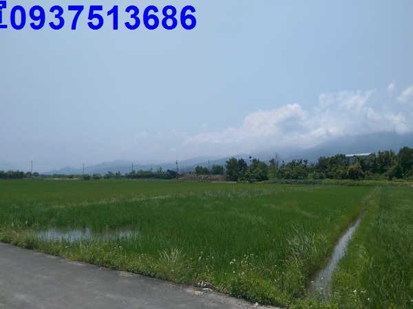宜蘭礁溪農地-4