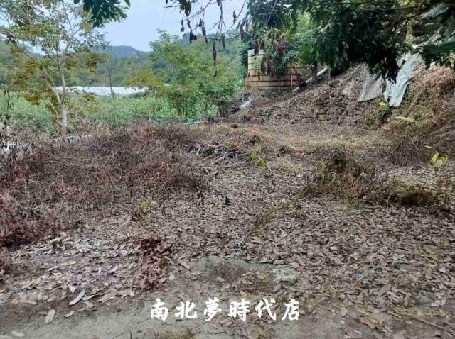 楠西農地-12