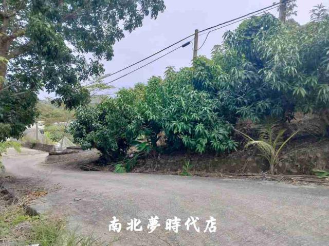 楠西農地-15