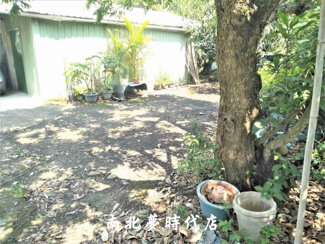 楠西農地-7