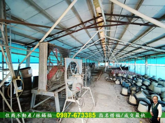 善化農地-11