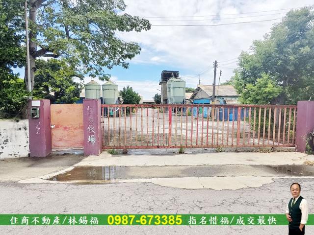 善化農地-1