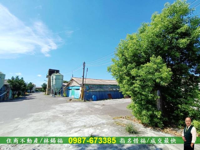 善化農地-5