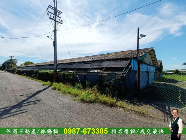 善化農地-6