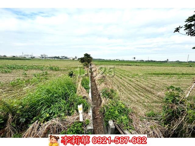 台南安定農地-14