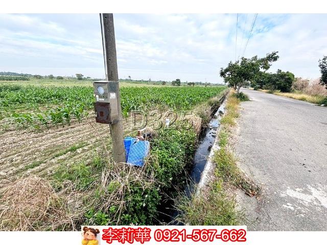 台南安定農地-9