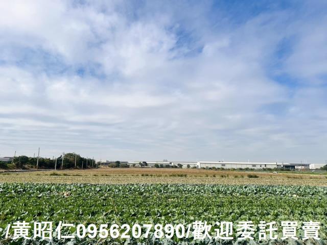 台南歸仁農地-3