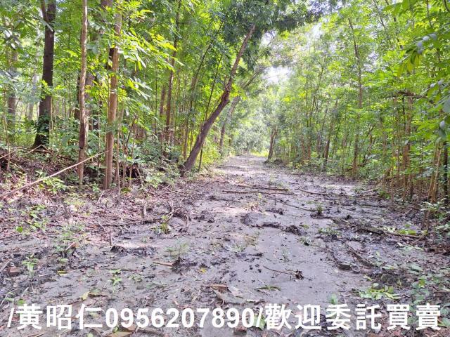 台南龍崎農地-7