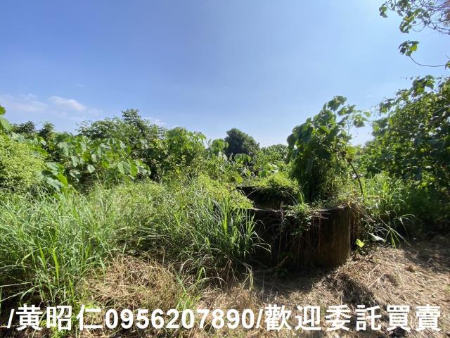 台南玉井農地-11