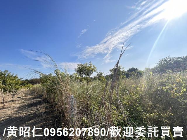 台南玉井農地-1