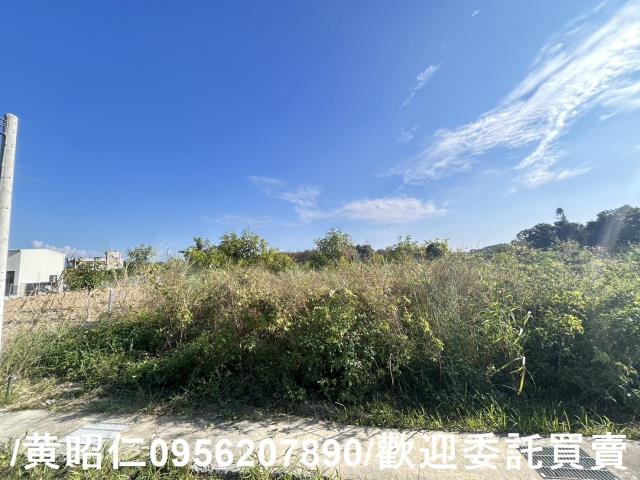 台南玉井農地-2
