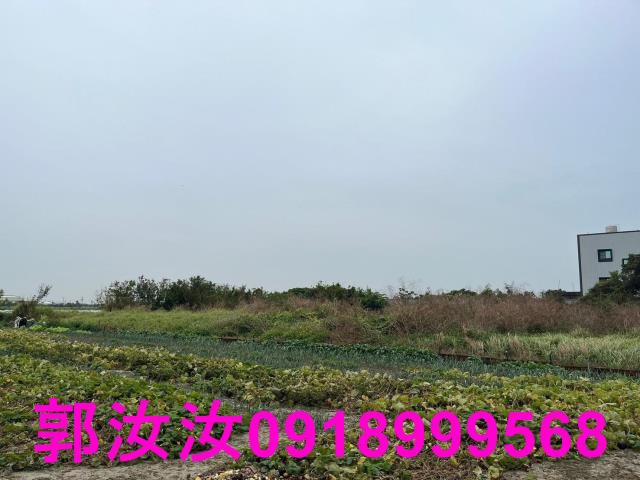 將軍建地-11