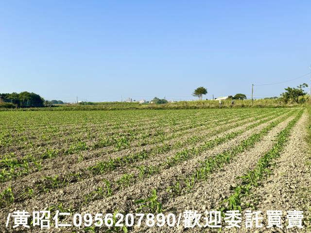台南農地-1