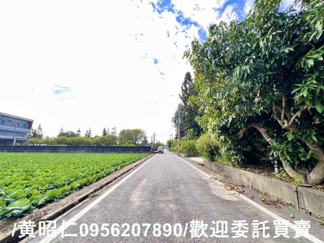 台南農地-11