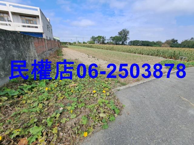 雲林四湖農地-2
