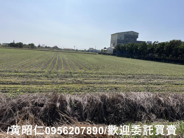 七股農地-4