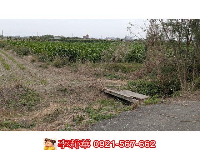 台南農地-7