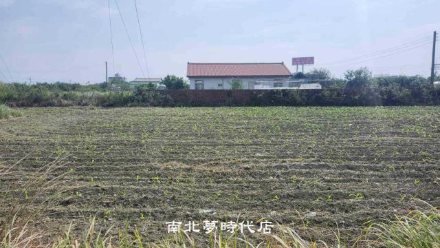 台南麻豆農地-3