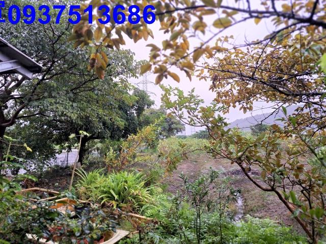 宜蘭員山農地-3