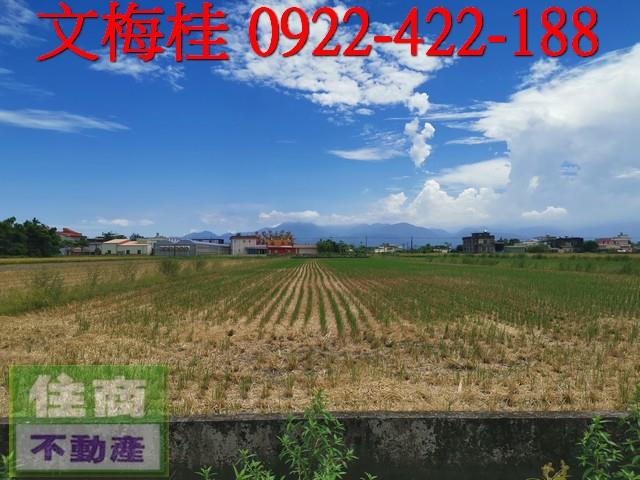 宜蘭壯圍農地-2