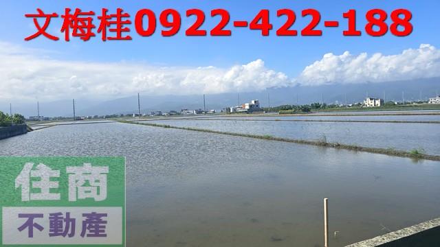壯圍農地-1
