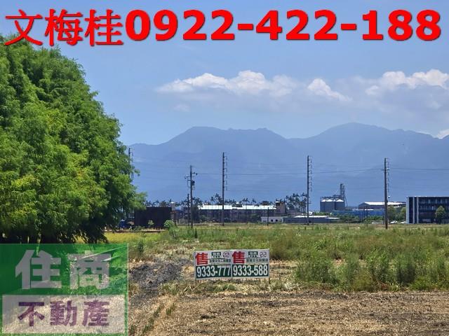 壯圍農地-1