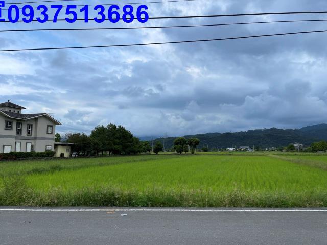 宜蘭三星農地-1