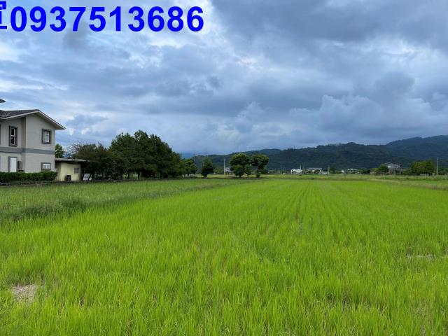 宜蘭三星農地-5