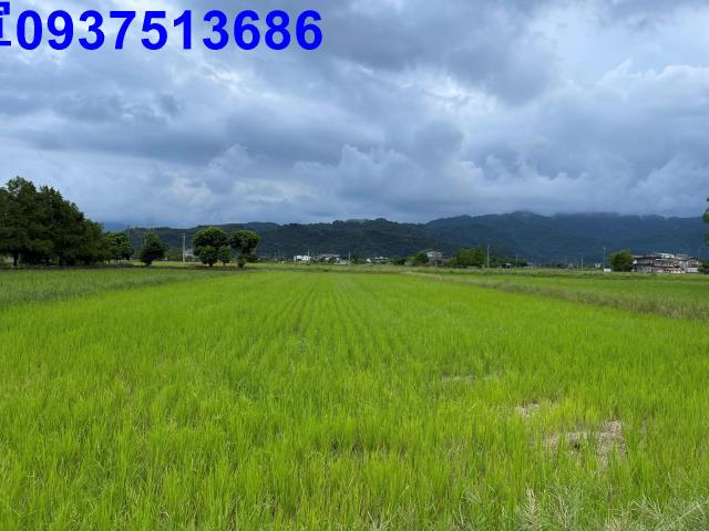 宜蘭三星農地-8